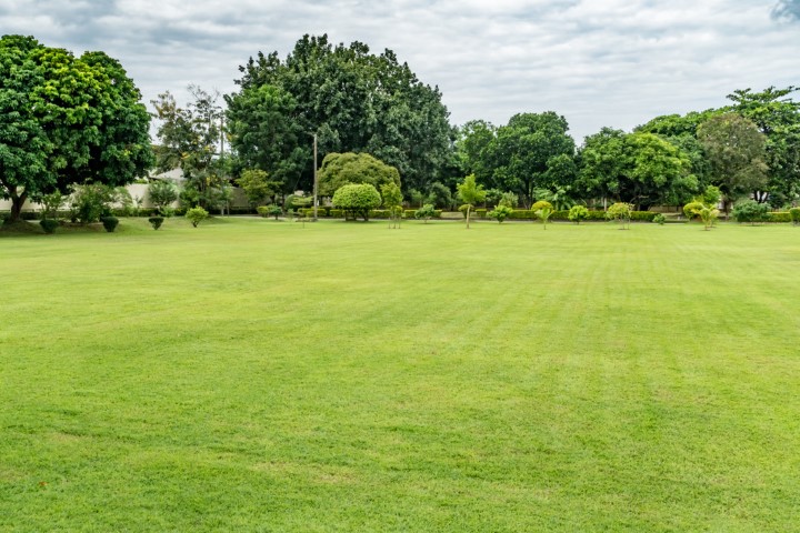 自然の景色 イメージ